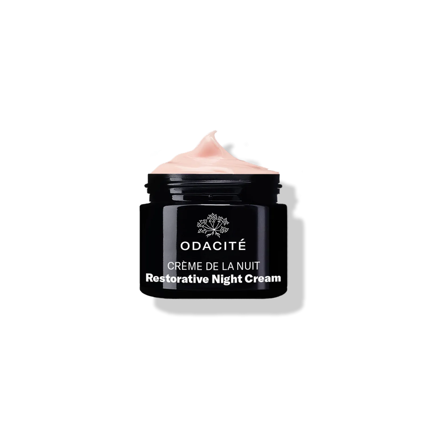 Crème de la Nuit • Vitamin C   Ashwagandha • Restorative Night Cream