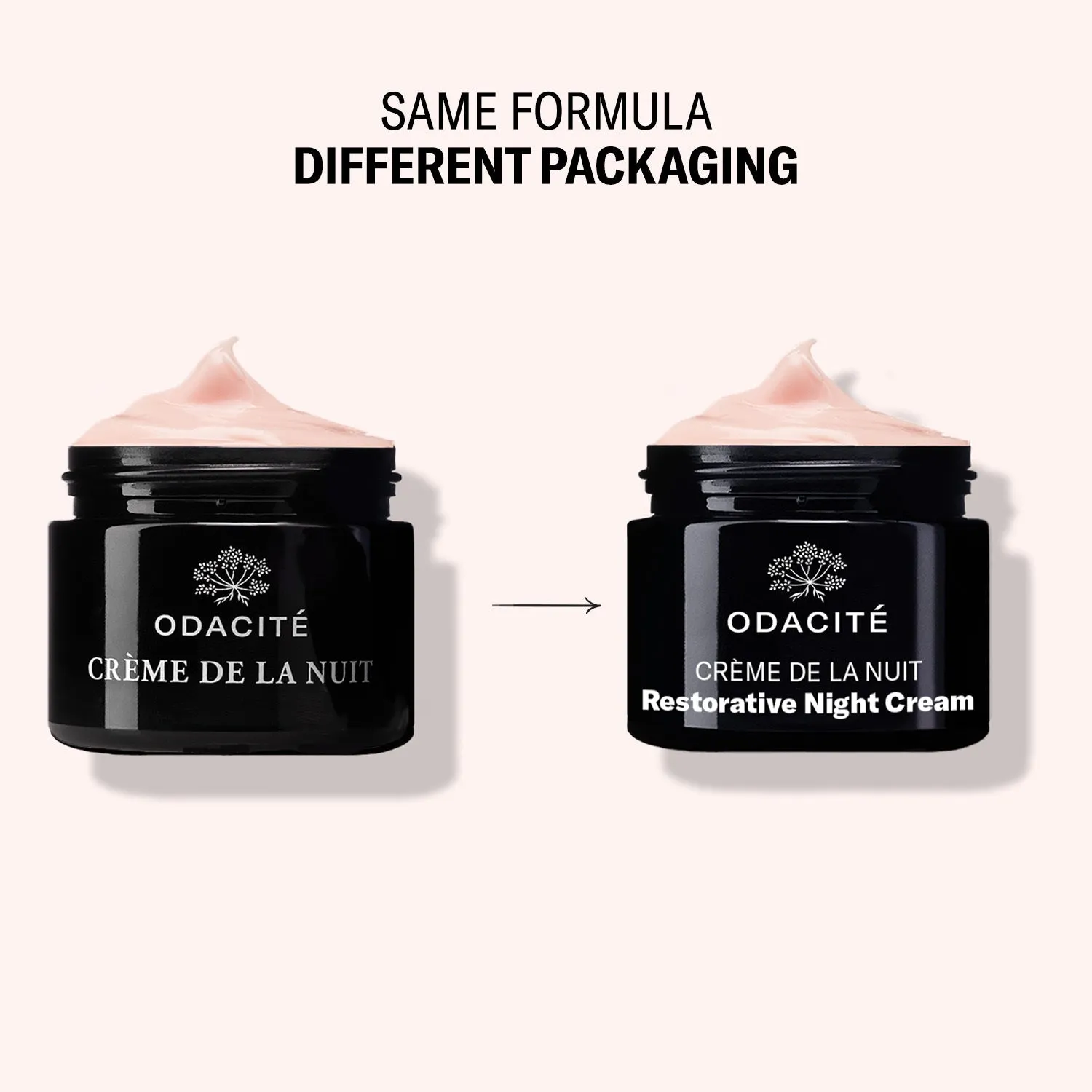 Crème de la Nuit • Vitamin C   Ashwagandha • Restorative Night Cream