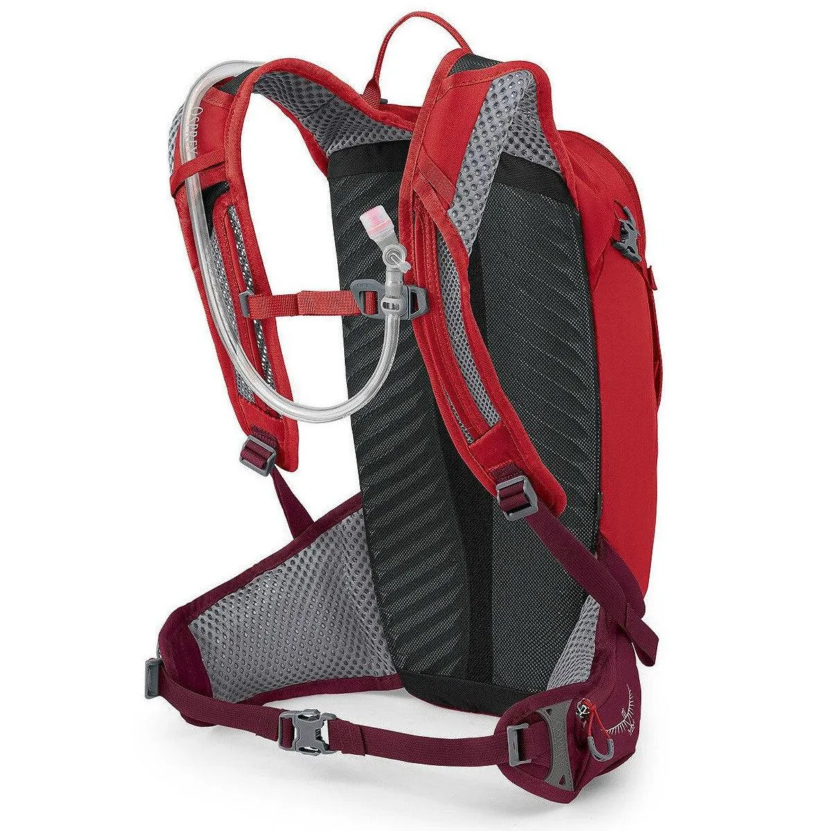 Men's Siskin 12 Hydration Backpack